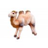 Plyšový velbloud dvouhrbý, 62 x 46cm