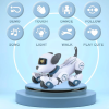 robo dog 5 (1)