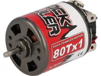 R03101