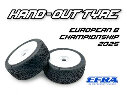 2ab918dbecbbfae3eba4cb95a90dc6f7