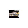 Rally Legends Audi Quattro Sport 1985 1:10 RTR sada