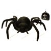 rc pavouk