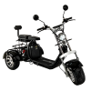 trojkolka OLTO Golem 2000W