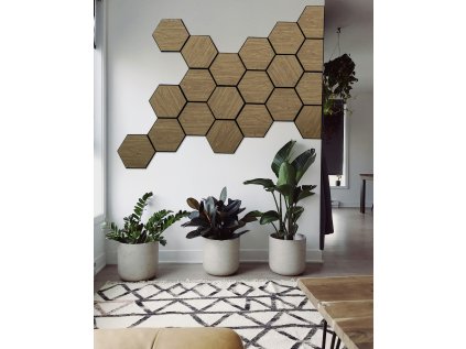 482 photo hexagons