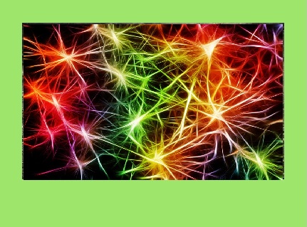 Wise Czech according to your schedule