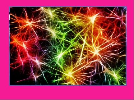 Moudrá čeština dle vašeho rozvrhu