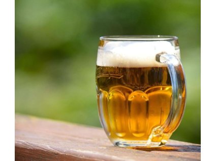 beer 1107 876