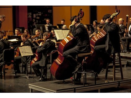 hudebni nastroje orchestra 7265635 640