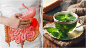 Problém s trávením? Našli sme najlepší bylinný čaj na hnačku (TOP 10)