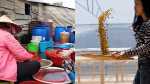 Slovák rozbehol úspešný biznis s kávou vo Vietname. Toto sú podľa neho najväčšie výzvy