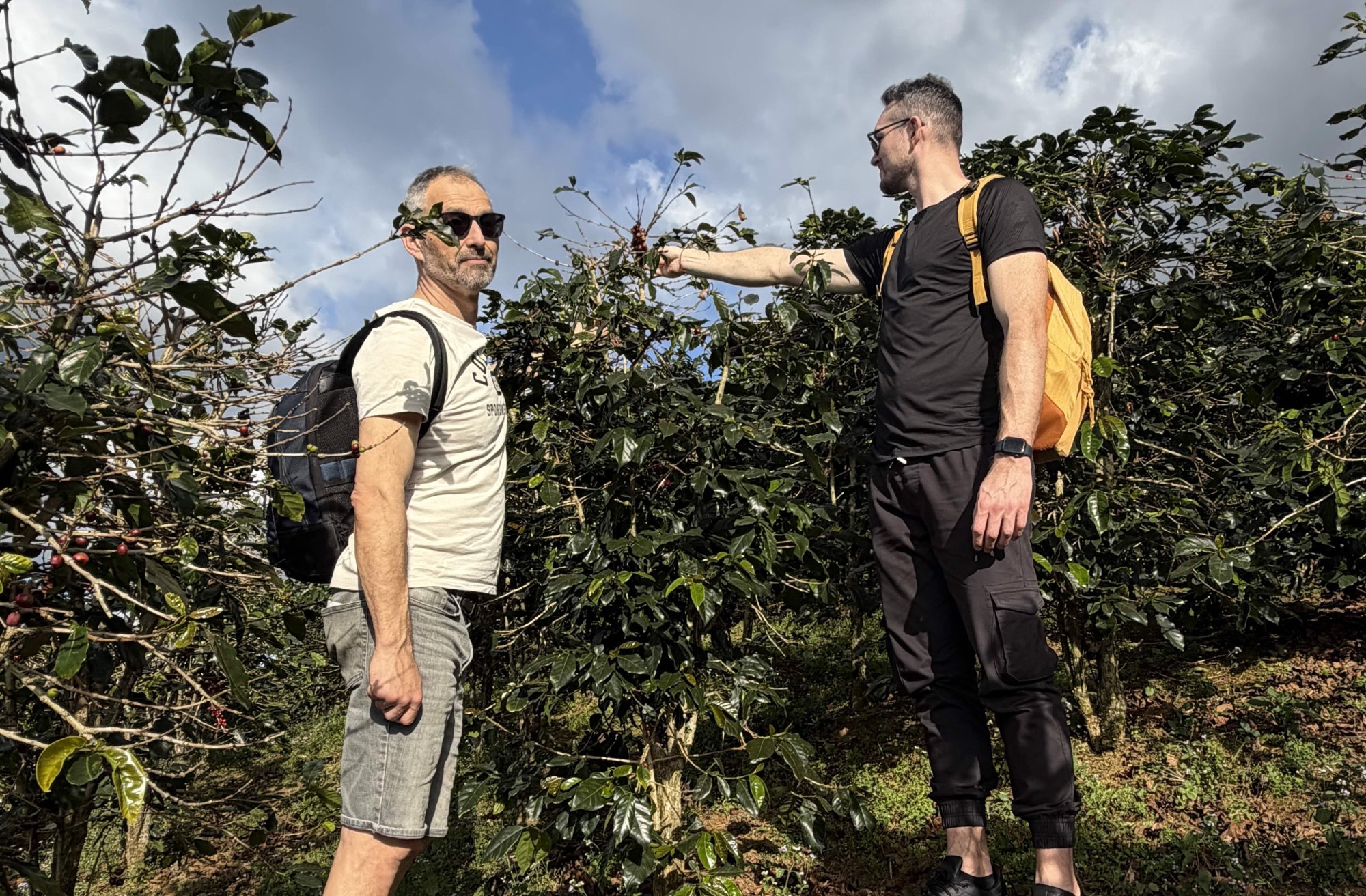 Z pražiarne priamo na plantáž: Denník z vietnamského Đà Latu