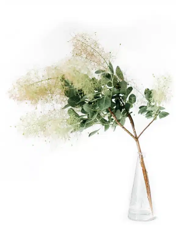 Historie ESTIME & SENS