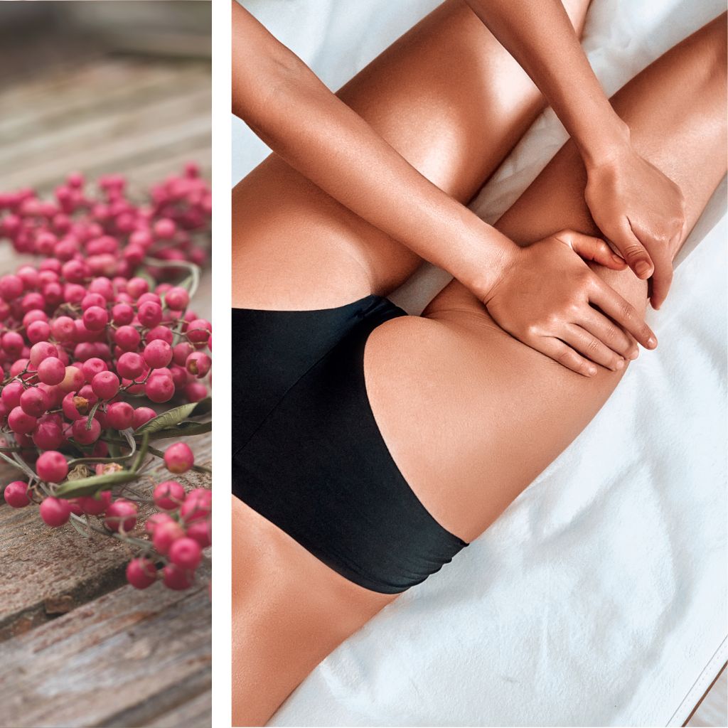 BOOSTER MINCEUR – podpora hubnutí