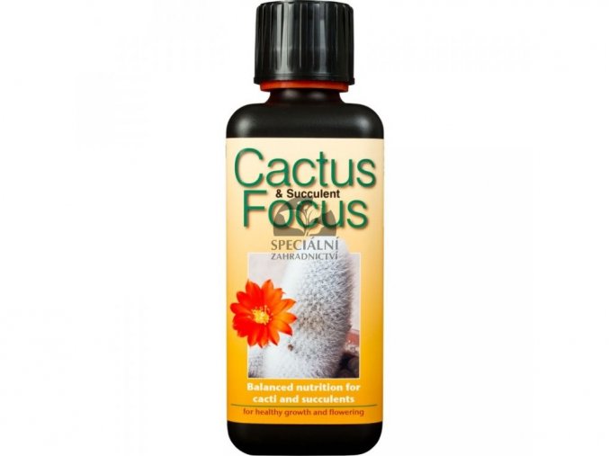 Growth Technology - Cactus Focus