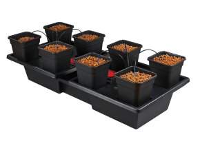 ATAMI WILMA - LW 8x11L