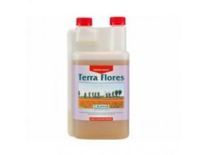 CANNA - Terra Flores