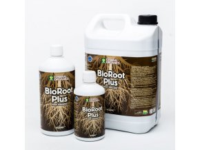 G.O Root plus