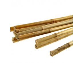 Bambusová tyčinka 120cm (balení 25ks)