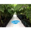 AutoPot - Easy2Grow 40Pot bez nádrže