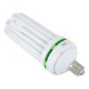 Lumii EnviroGro CFL 200w Cool White Lamp - 6400k