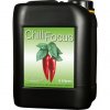 Growth Technology - Chilli Focus