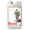 AN - Revive