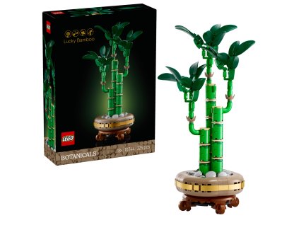 2673db89caf954 10344 boxprod v29