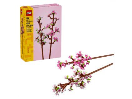 y657722a517ce4 untitled design