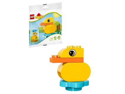 7634964b2ca551 30321