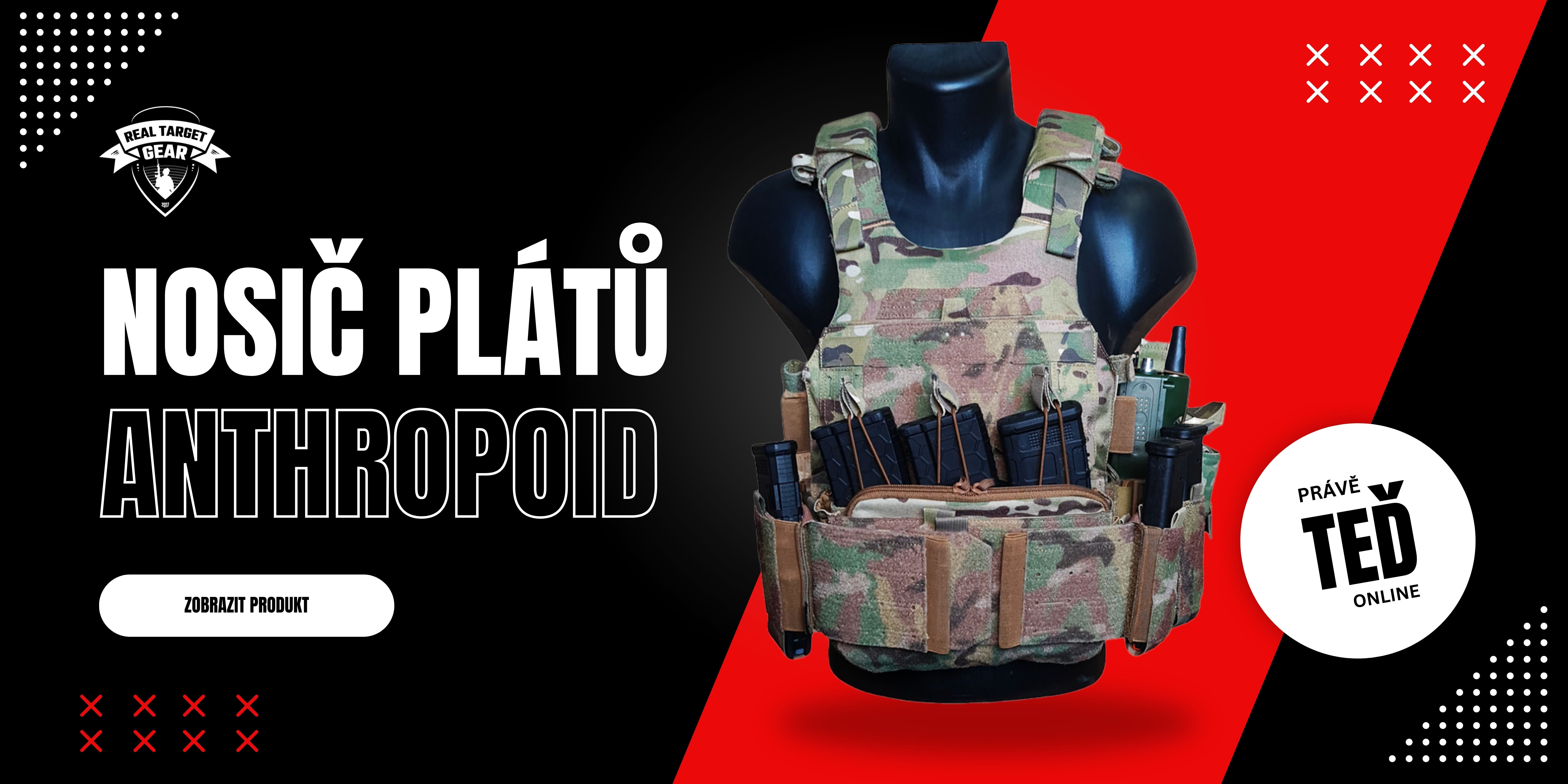 Anthropoid