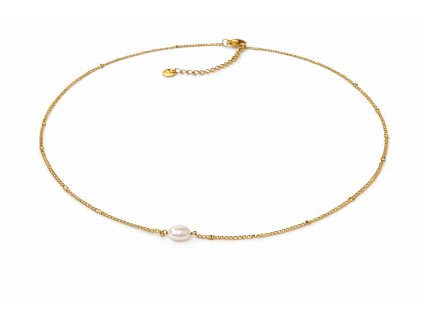 ChatGPT Image 29. 1. 2026 20 11 00