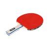 Sada raketiek na stolný tenis, Entry