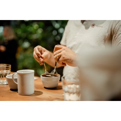 14. 10. 2025 / Kávová degustace (cupping)