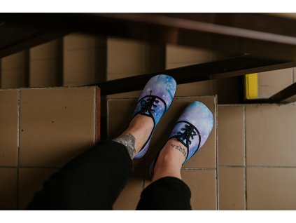 Cetusky Třídírkové