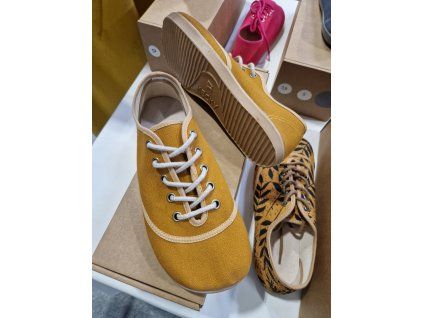 e5daa3a4 d576 4e72 88a5 a6a210ff60a1