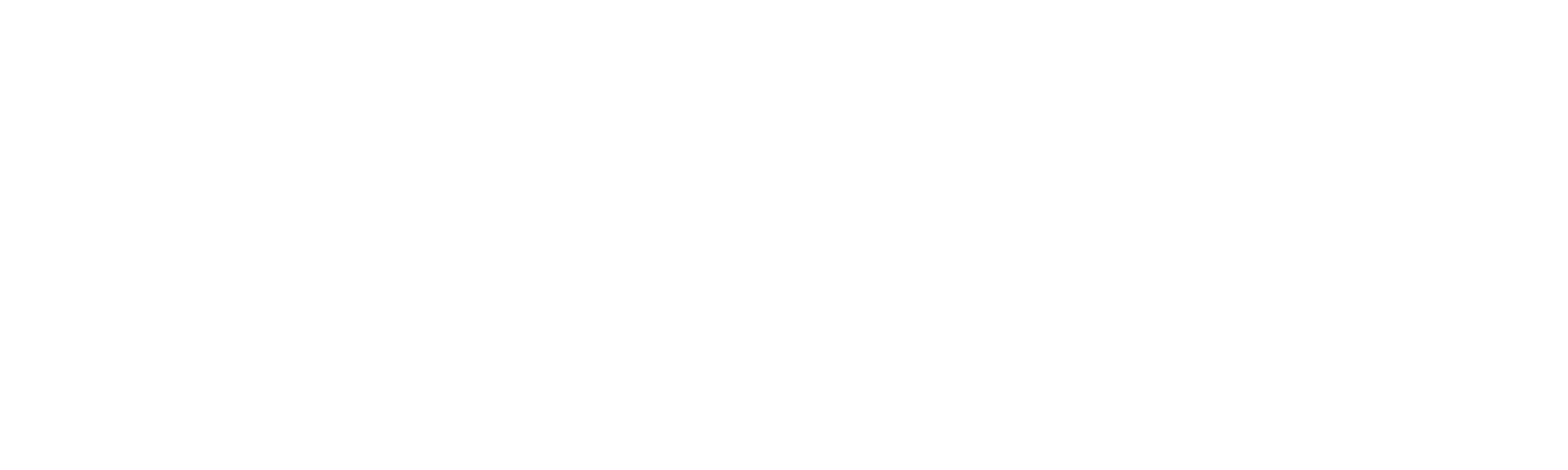 Rebel Pro