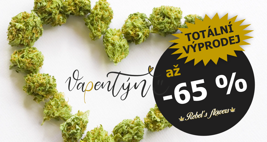 Výprodejová bouře u Rebel's Flowers: slevy až 65 %!