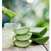 aloe