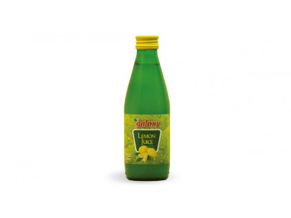 38 30 01 Lemon juice 250 ml sklo