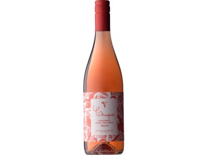Filioma Rose Dry Without Shadow