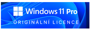 Windows 11 Pro