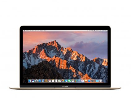 Apple Macbook 12 Retina Gold Nová baterie, Retina displej