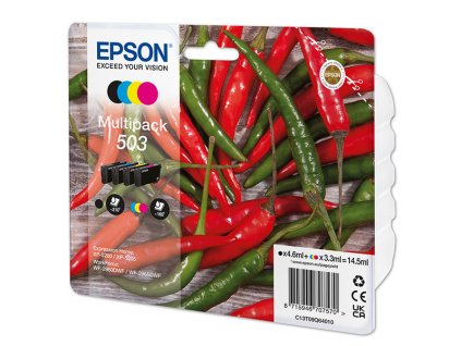 Epson originál ink C13T09Q64010, T09Q640, 503, CMYK, 550str., 3x3.3/4.6ml