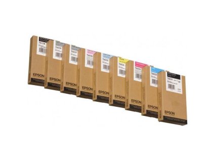Epson originál ink C13T603700, light black, 220ml