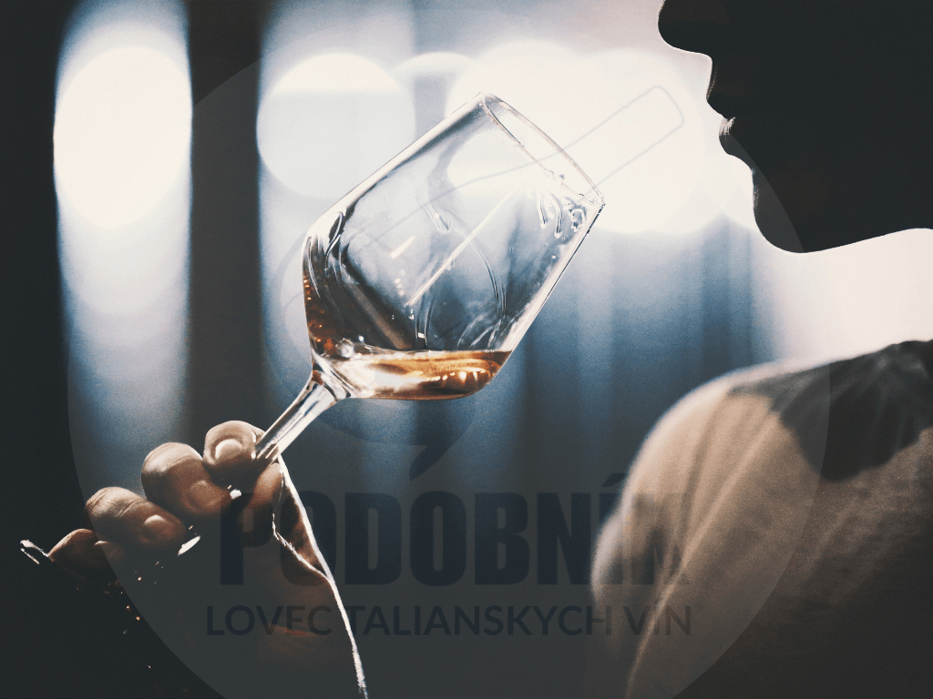 PODOBNÍK – Lovec talianskych vín, ktorý mení spôsob, akým ľudia objavujú víno