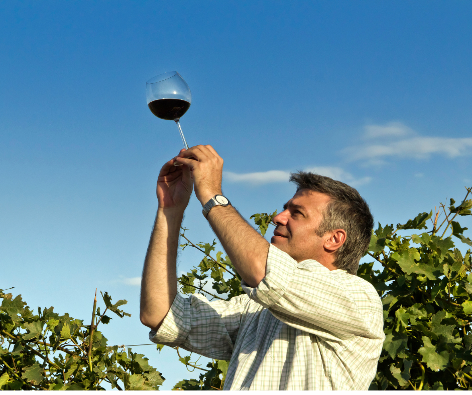 Appassimento vs Governo Toscano – aký je rozdiel a ktoré víno si vybrať?