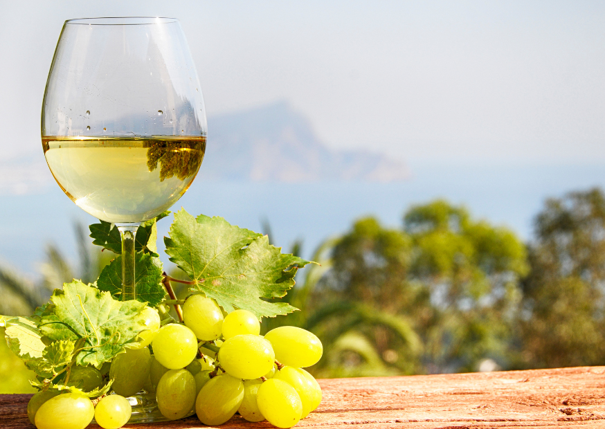 Trebbiano DOC Villa Medoro – svieži poklad z Abruzza, ktorý stojí za objavenie