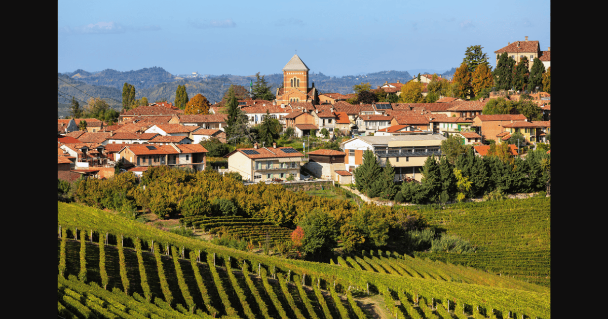 Marzemino – skrytý poklad talianskeho vinárstva, ktorý si zaslúži viac pozornosti