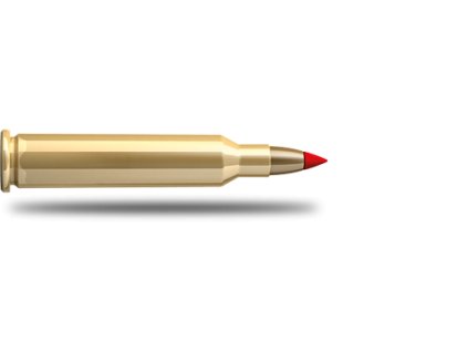 kulovy naboj s b 17 hornet v max 1 3 g 0.png.big.jpg 2