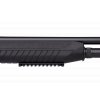 particolare forend picatinny rail